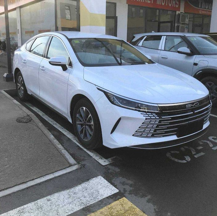 BYD chazor 120 fulli