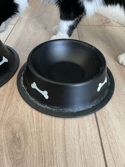 миска для кошек/миска для собак