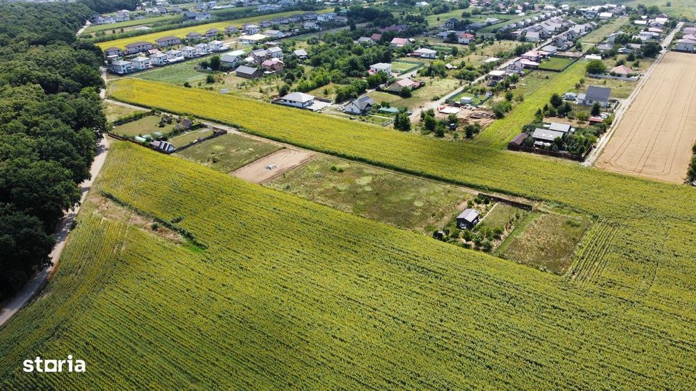Teren 4560 mp Miroslava Str Arțarului,  Pădurea Valea Ursului