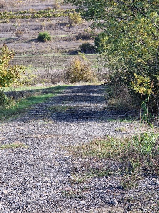 Teren de vanzare  comuna smardan judetu galati