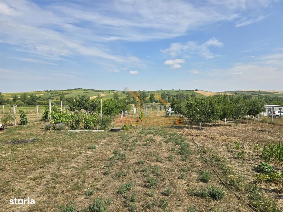 Teren Intravilan | 1000 Mp | Paleu | Bihor