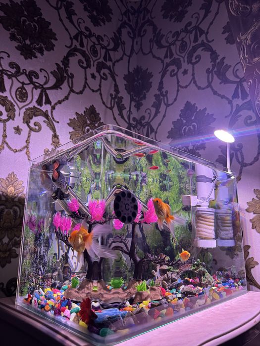 Аквариум сотилади 40 л