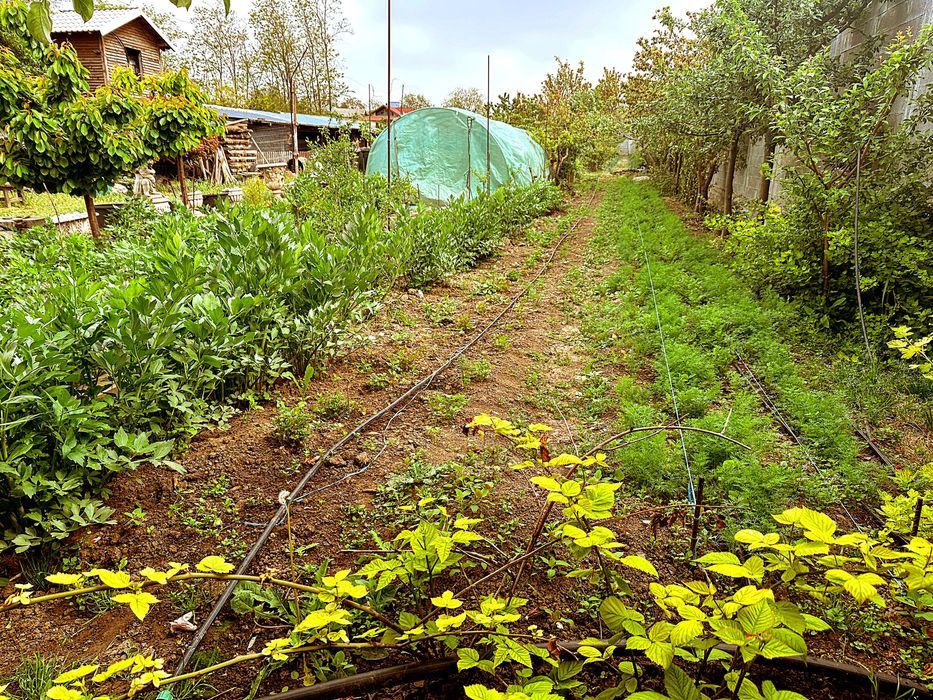Proprietar – teren intravilan 1.522 mp, 2 intrări  utilități gard beton sere lac – zona CAP