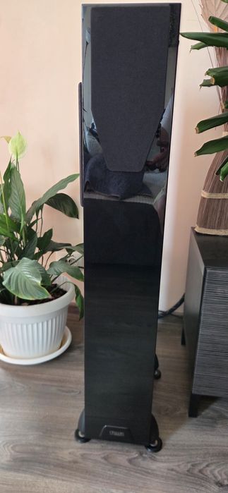 Тонколони Rega rs7