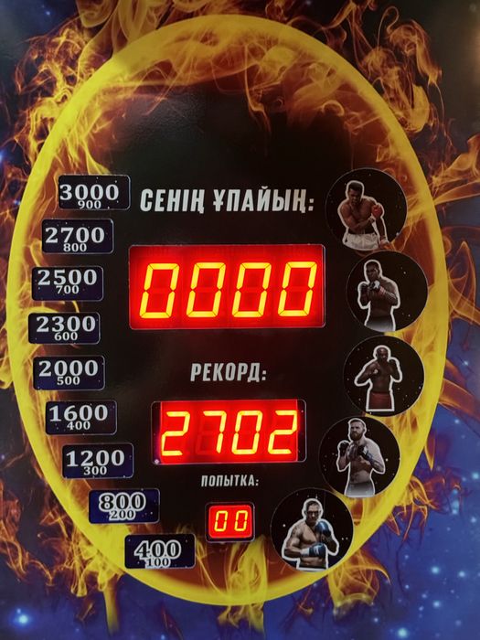 Силомер аппарат собственного производства