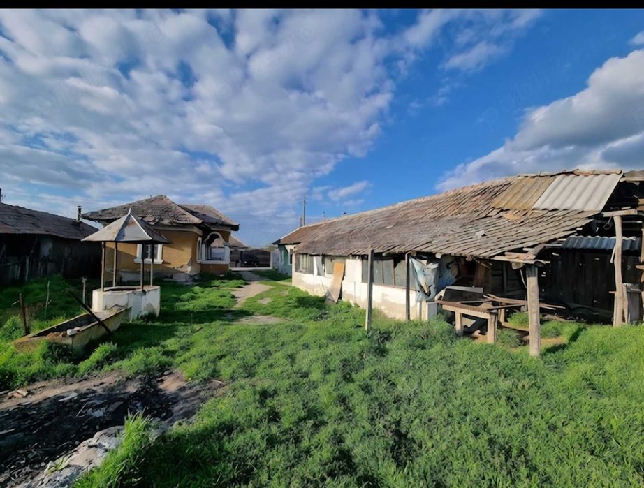 Vand casa la tara