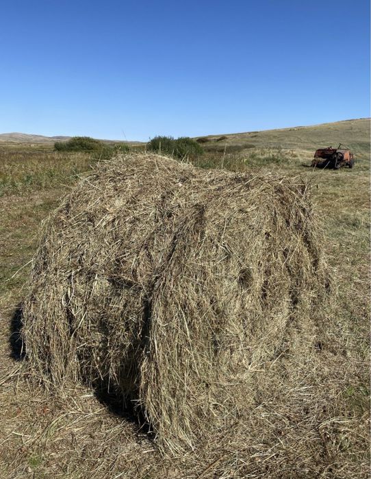 рулоны  +- 250кг