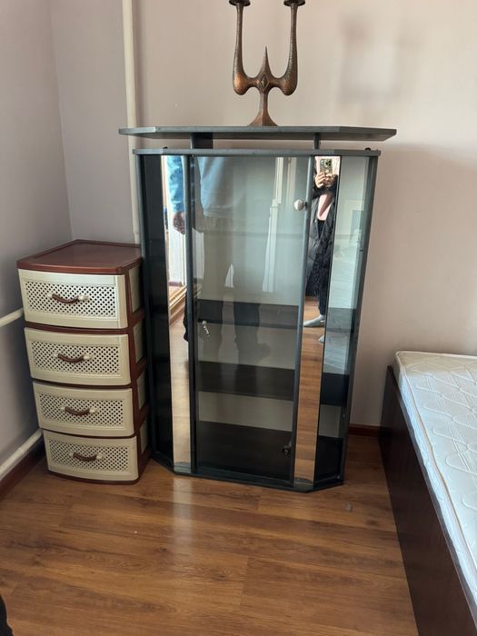 Мебель диван,кровать,шкаф, двери, ковры.