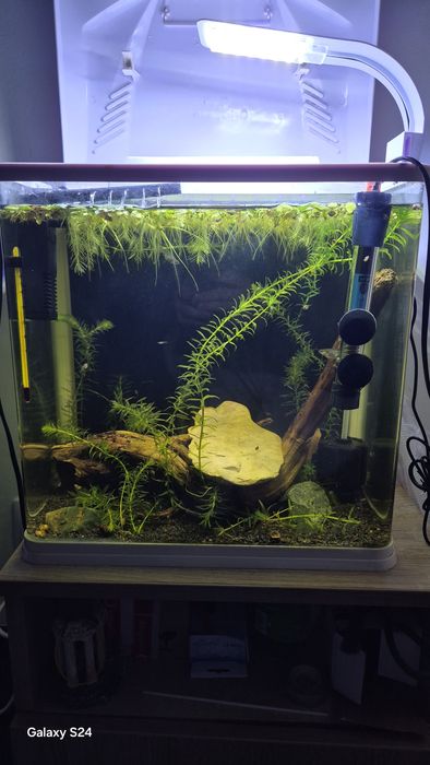 Acvariu Mic 36 L