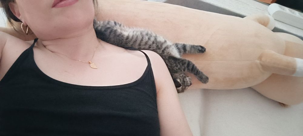 Котенок девочка 1,5 мес