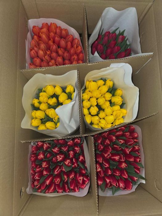 Тюльпаны ! 600 тг!