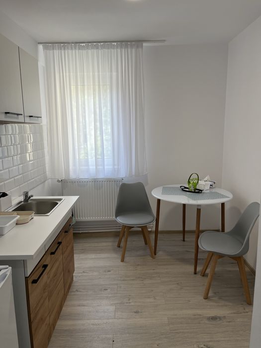 Casa Bocan Cazare si cu card de vacanta  Geoagiu -Bai Casa Bocan