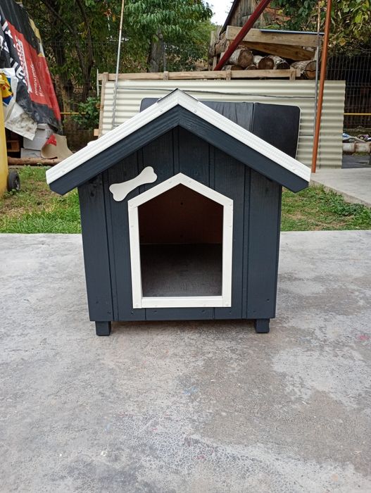 Cusca caine pisică Transport gratuit