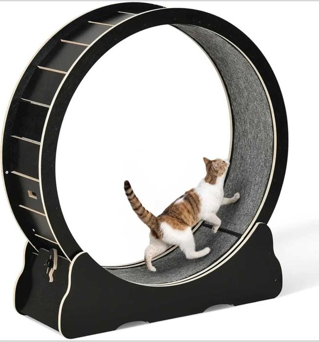 НОВО! XL КОТЕШКО КОЛЕЛО за бягане, игра и тренировка, 299лв.