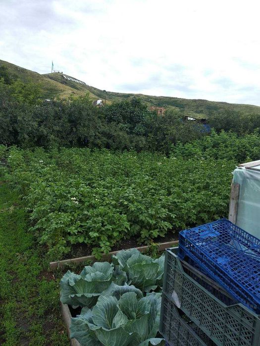 Продам дом в п. Красина