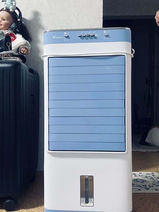 Кандиционер домашний