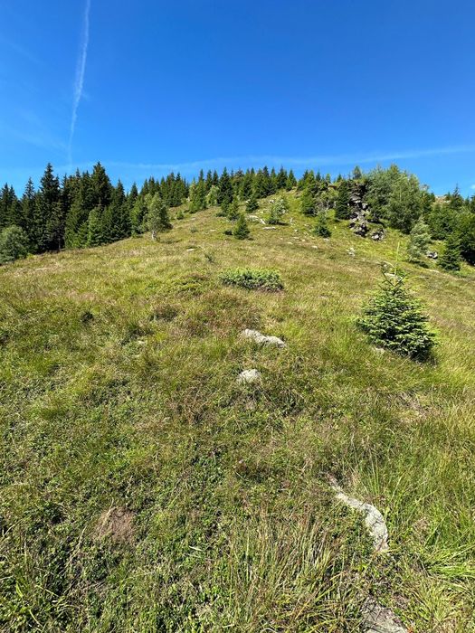 Teren de vânzare in Slima - Parâng, Hunedoara