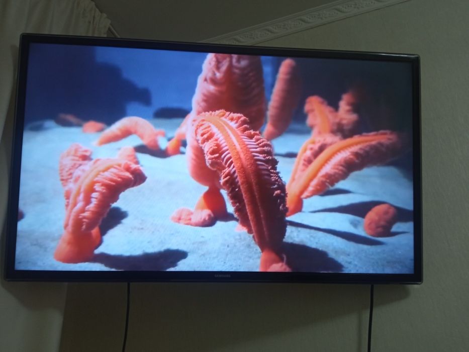 Телевизор Samsung