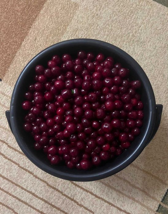 Продам вишню дачная