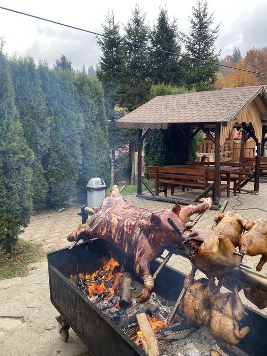 Porc , vitel si oaie facute la protap