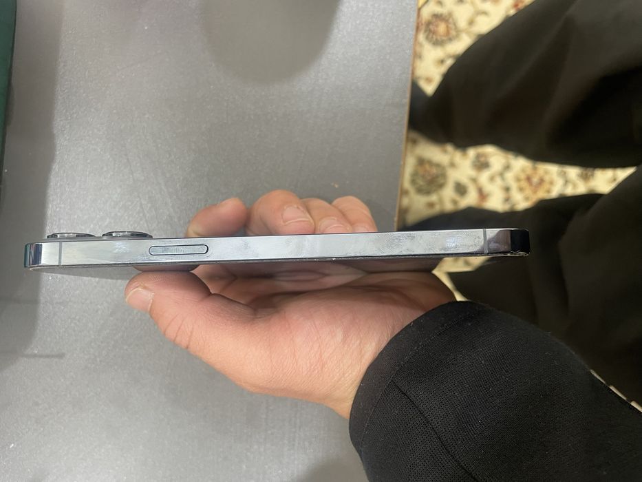 Iphone 13 pro max 256g