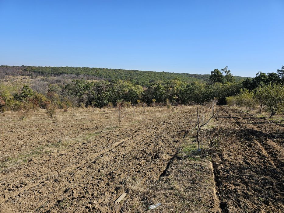 Продава се Земеделски имот в Плевен, Мара Денчева -  кв.м за 661 €/дка - Снимка #3