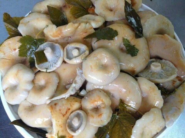 грузди  грибы резанные  499 тг кг для салата для блюда