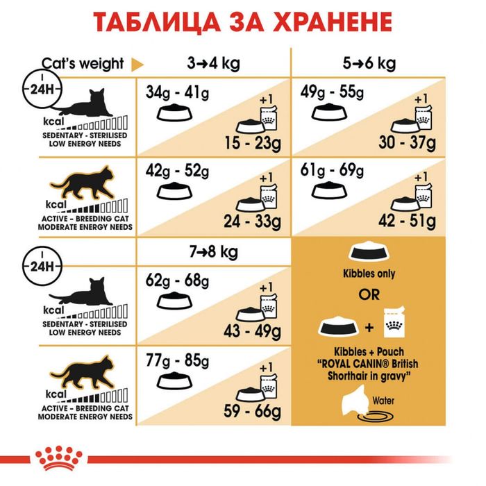 Royal canin British shorthair