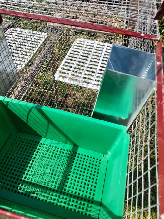 Cusca iepuri pt fatare si tineret