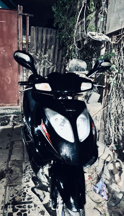 Fiero raton 49