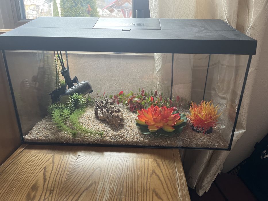 Acvariu pesti 54l aquarium