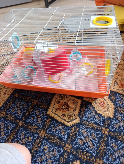 Отдам за шоколадку клетку для хомяков