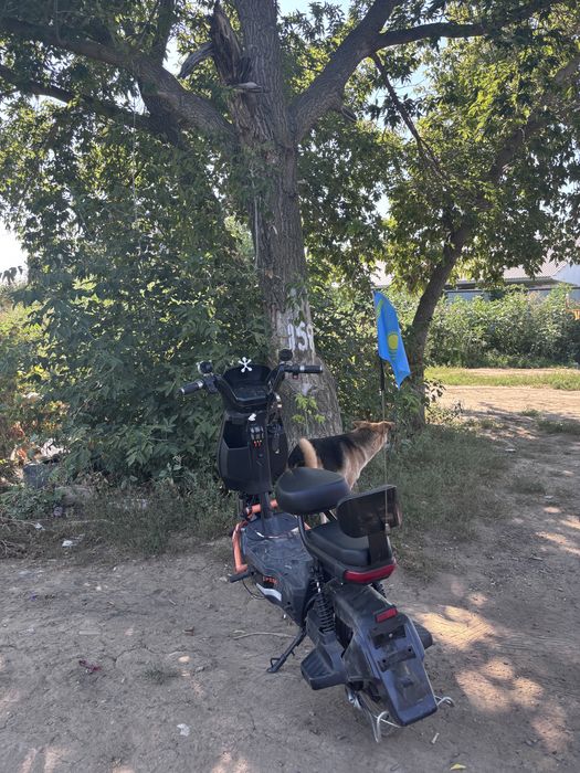 прадам самурай срочна