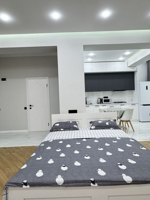 Квартира в Премиум плазе