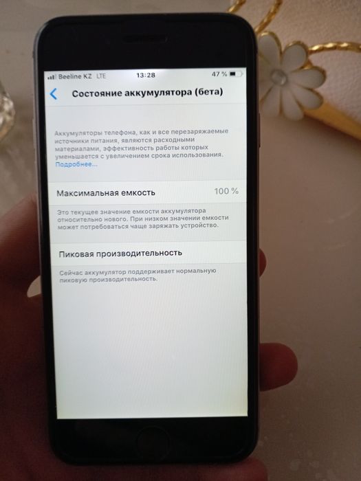 IPhone 6 100 акб