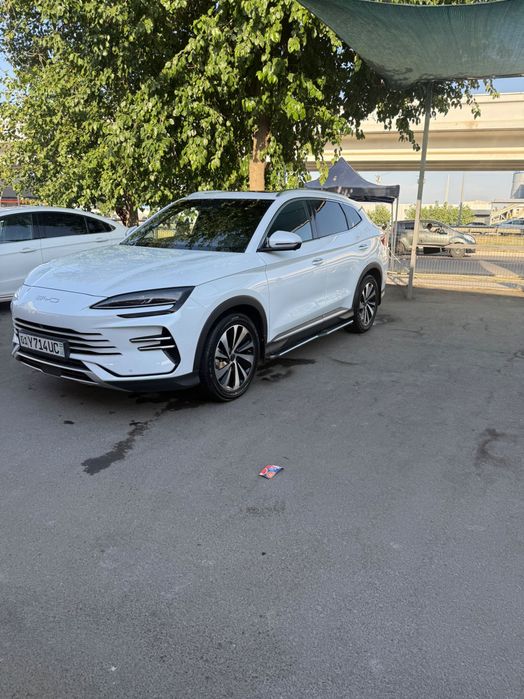 BYD chempion 110 talik