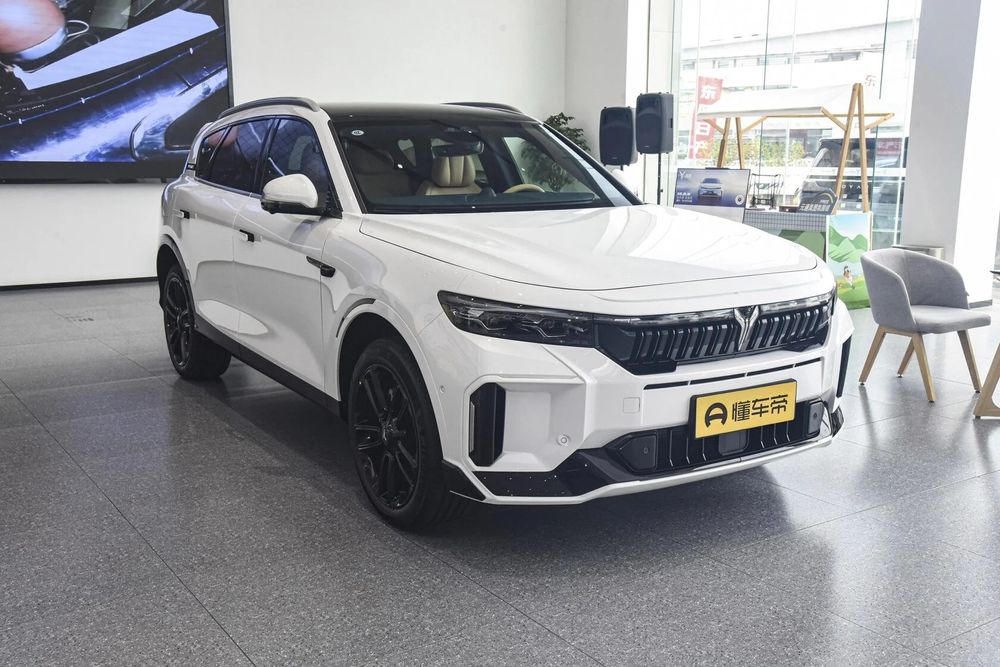 Voyah free restayling 318 gibrid Qora Mokriy Oq