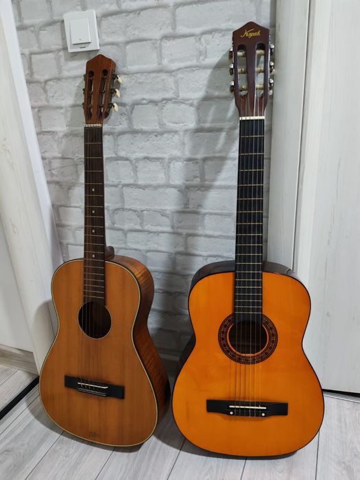 Chitara clasica Hofner si Kapok