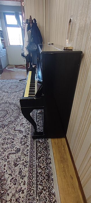 Pionina sotiladi xolati yaxshi stochna