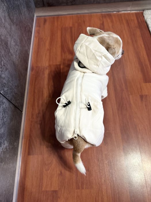 Продается НОВЫЙ комбенизон для собак