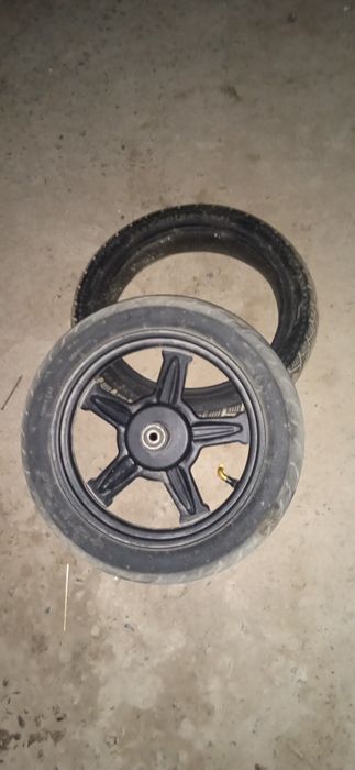 Суктердың жағдай жақсы