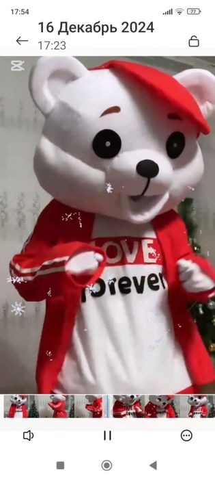 Продам мишку костюм