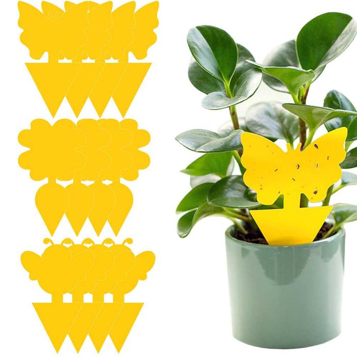 Set 12 capcane adezive insecte si daunatori plante ghiveci galben
