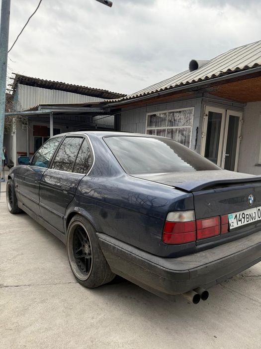 Шницер Тип 3 18ые разноширокие