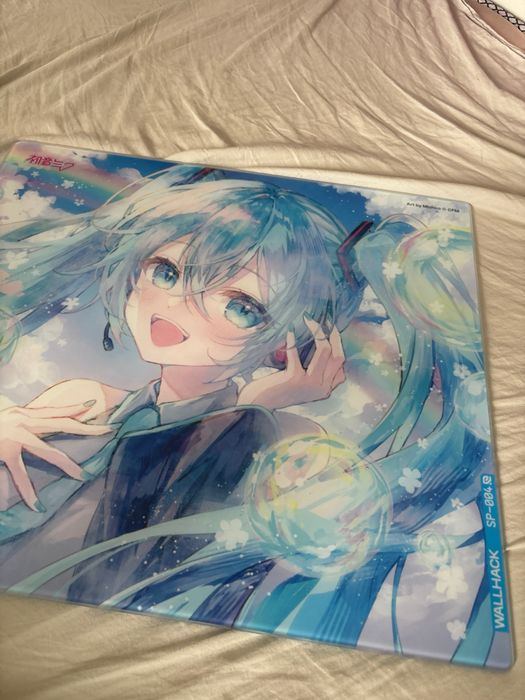Wallhack summer miku