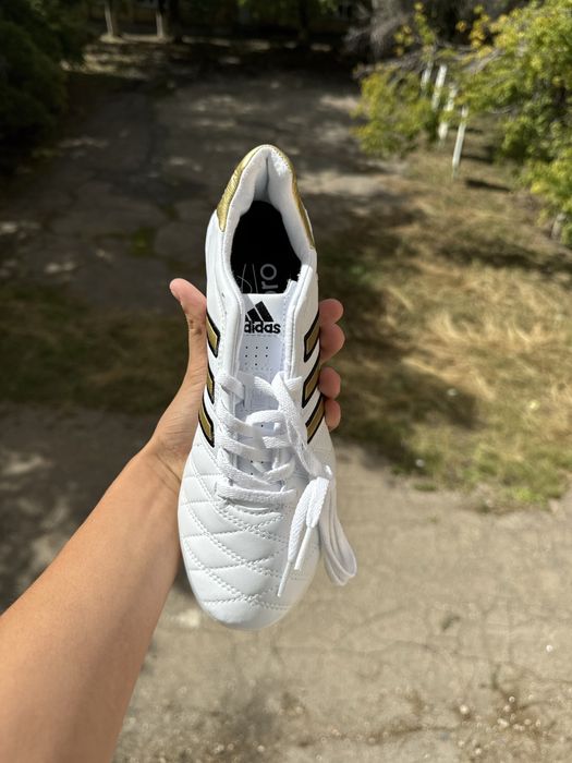 Сороконошки с мяом в подарок