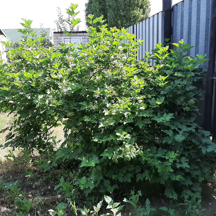 Продам дом недорого