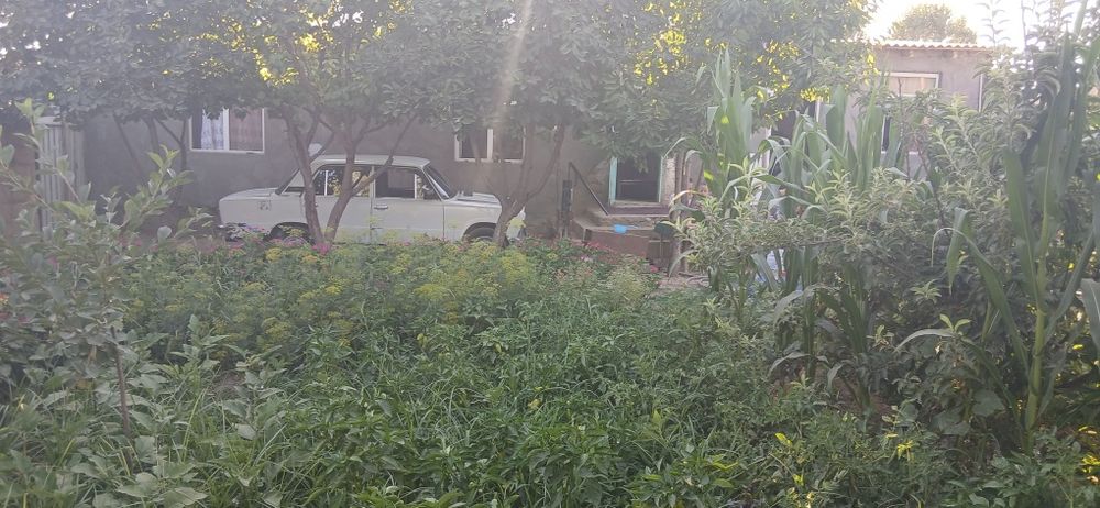 Srochni sotiladi 4 sotiq uy