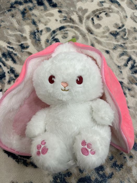 Пандора, заец новый