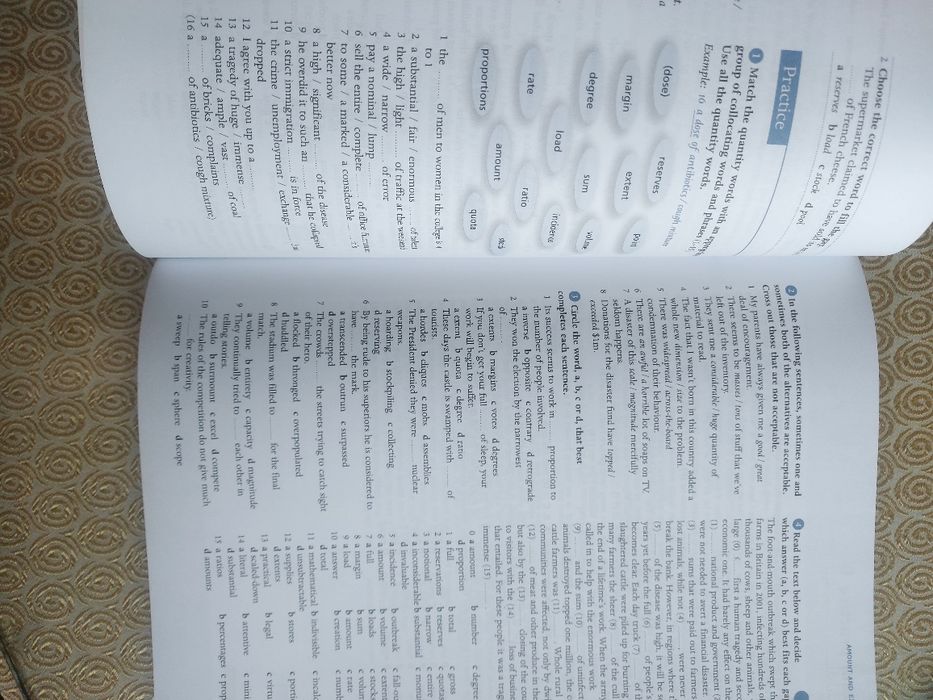 Grammar and vocabulary for Cambridge Advanced and Proficency